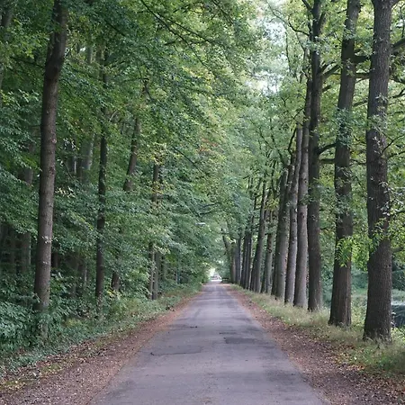 Alojamento de Turismo Rural De Parelberg *