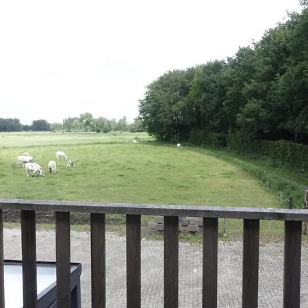 De Parelberg Alojamento de Turismo Rural Heeze